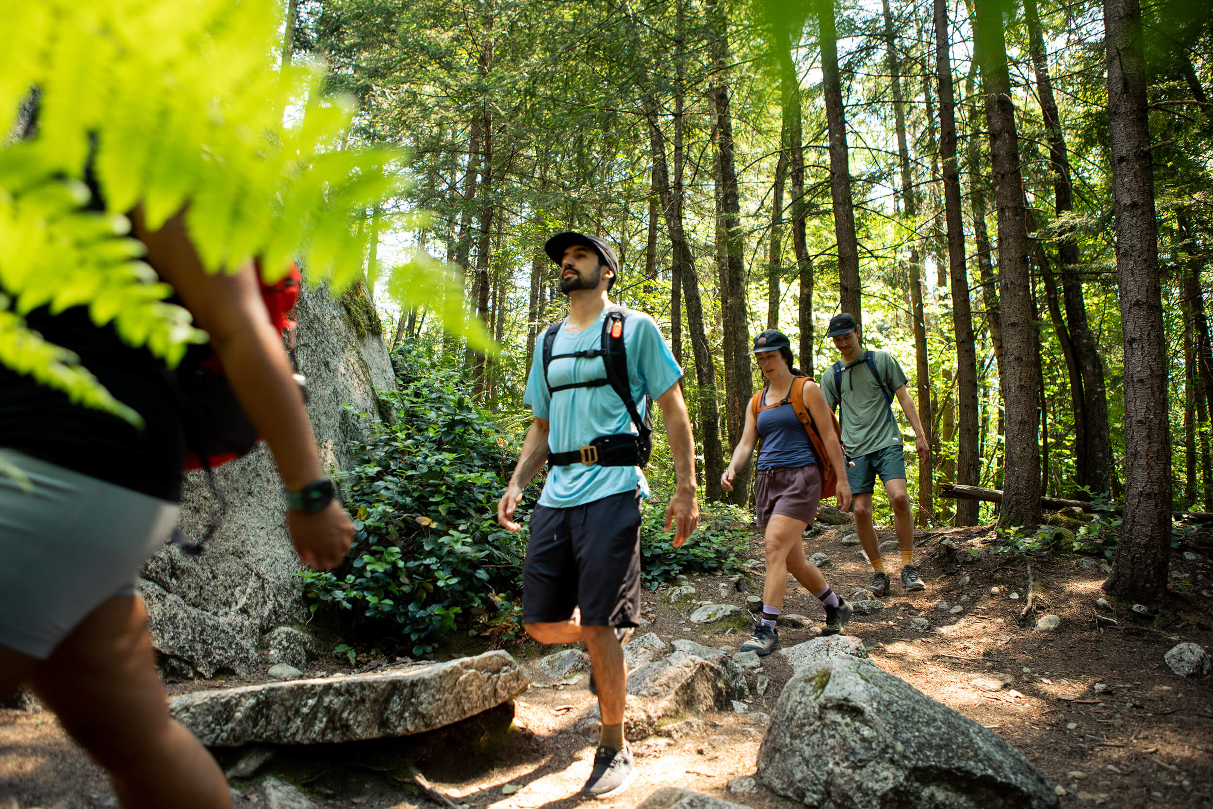 Hikers in the forest on a hiking trail