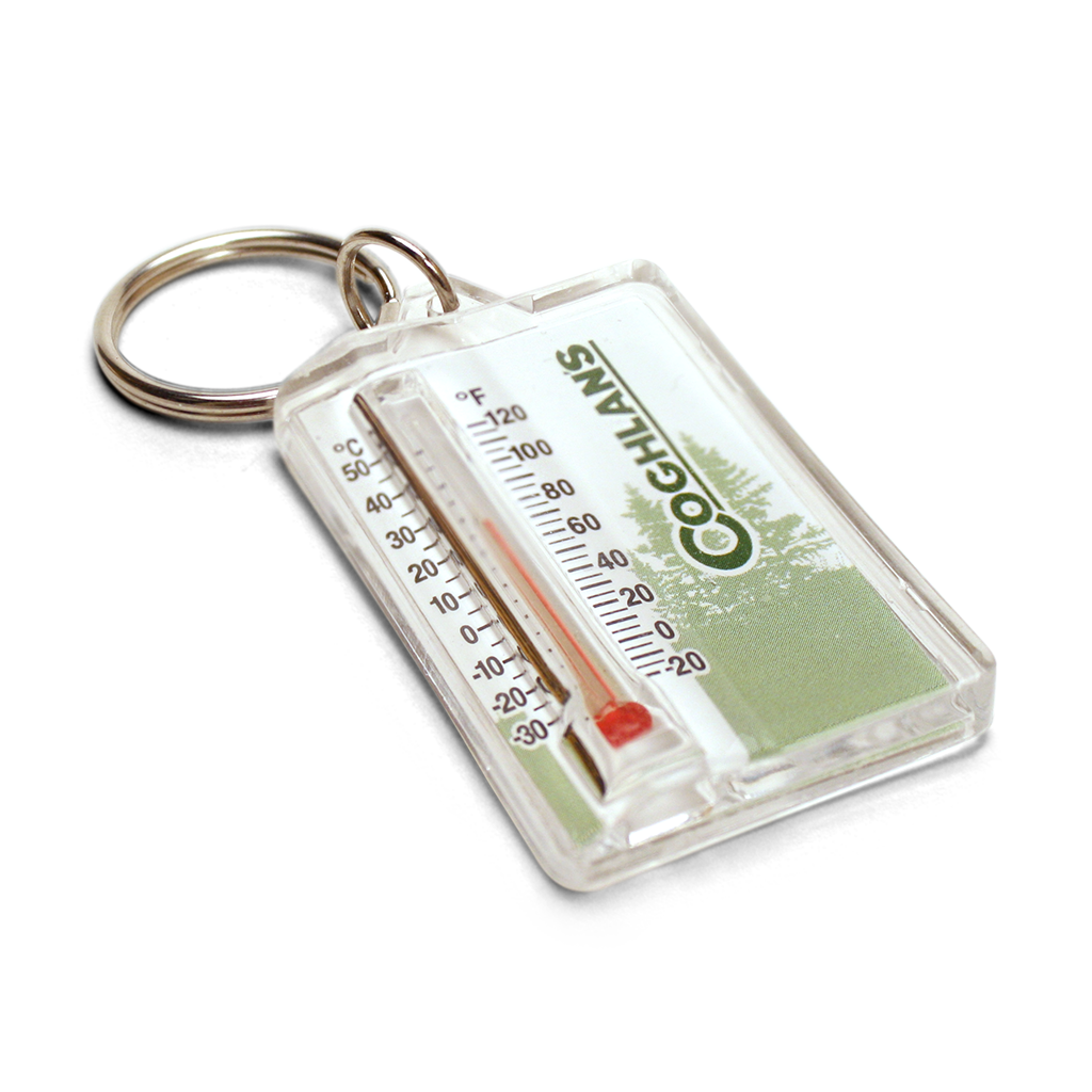 Thermometer Key Ring